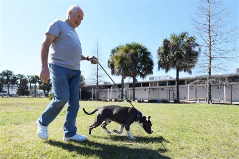 no kill shelters jacksonville fl